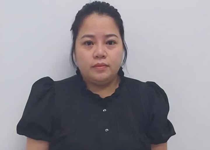'Nữ quái' dựng kịch bản lừa góp vốn kinh doanh, chiếm đoạt hơn 10 tỷ đồng- Ảnh 1.