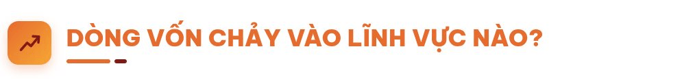 Các ngân hàng đang "bơm" bao nhiêu vốn cho nền kinh tế?- Ảnh 2.