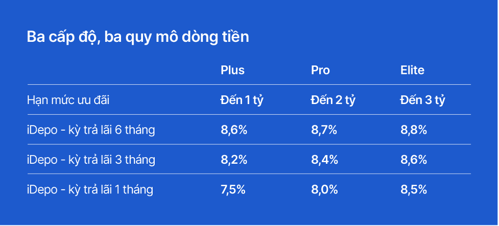 Cách VIB Up nâng hạng một hành trình tài chính nhiều nhu cầu cho khách hàng - Ảnh 2.